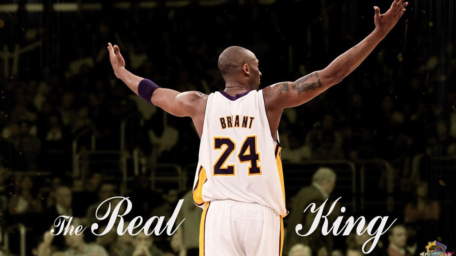 猛龙最后时刻击败太阳，霍勒迪成为关键先生